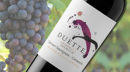 INDOMITA DUETTE CAB SAUV CARM 2016<br>MAIPO VALLEY, CHILE <br> Vintages LCBO #469270